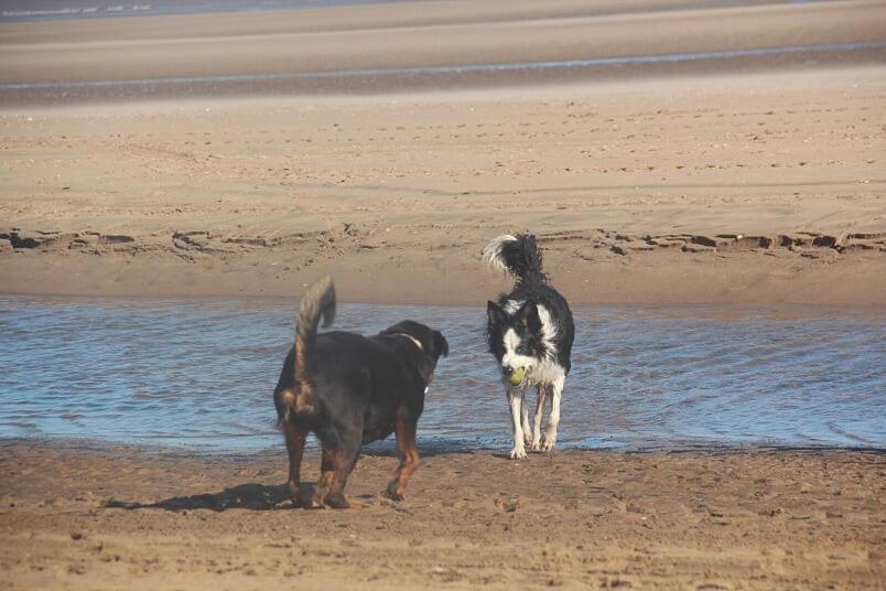 Bridlington'S Bolt Hole Chalet Luaran gambar