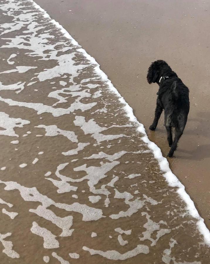 Bridlington'S Bolt Hole Chalet Luaran gambar