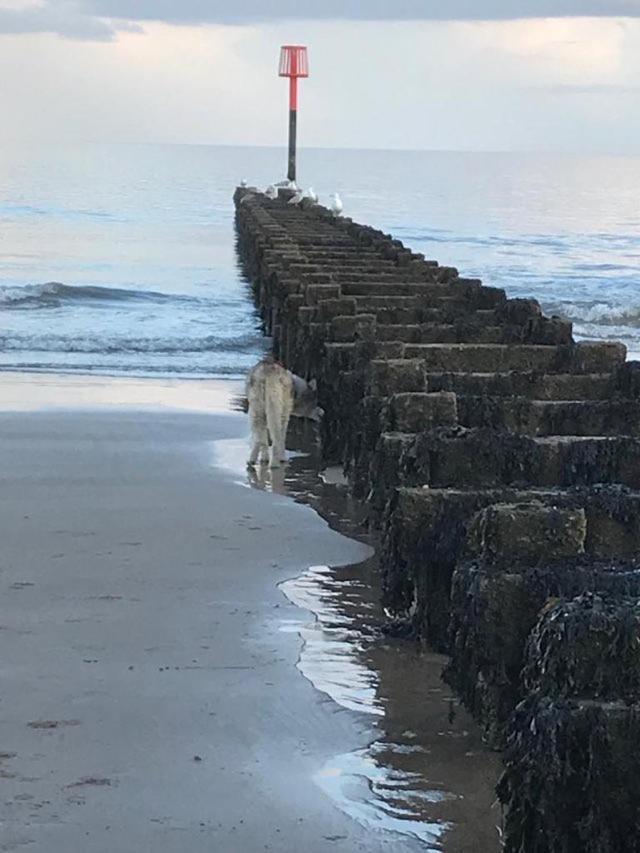 Bridlington'S Bolt Hole Chalet Luaran gambar